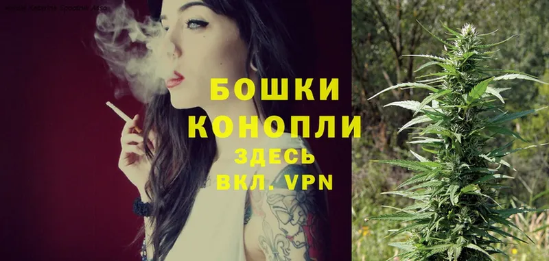 что такое   Дегтярск  Марихуана White Widow 